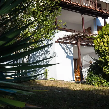 Salty Pines Elani Dimos Kassandra