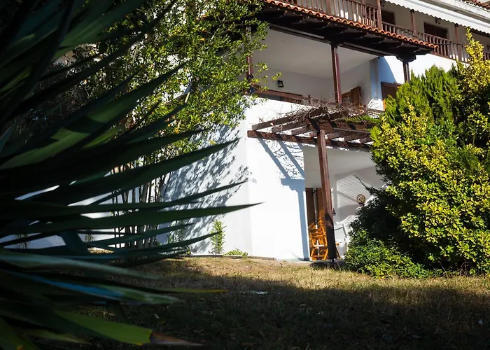 Salty Pines Elani Кассандра