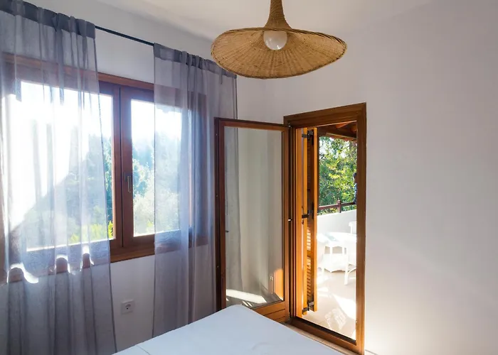 Salty Pines Elani * Dimos Kassandra