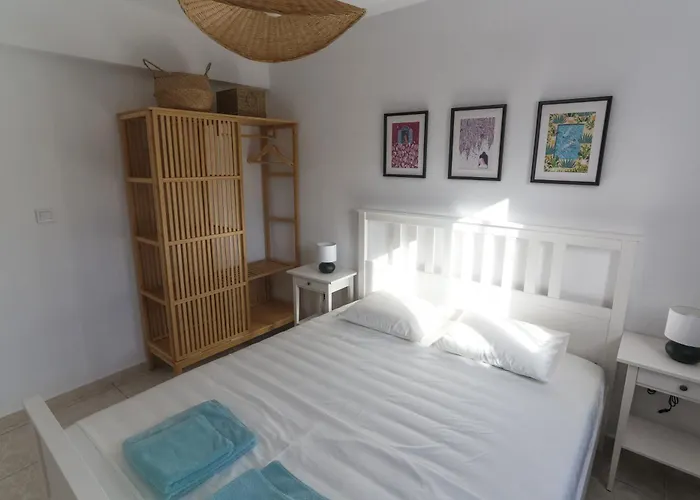 Salty Pines Elani Dimos Kassandra