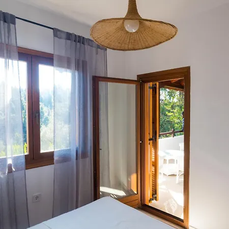 Salty Pines Elani * 카산드리아