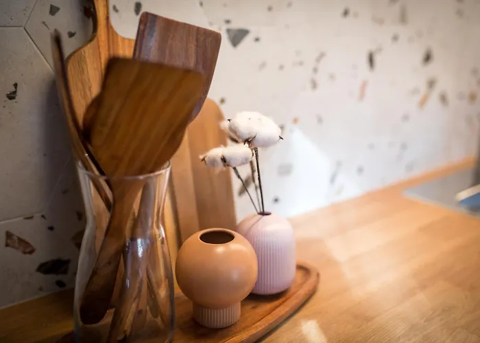 Salty Pines Elani * 카산드리아